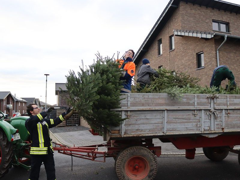 FW Gangelt: Abholung der Weihnachtsbäume durch die Jugendfeuerwehr - Foto: presseportal.de