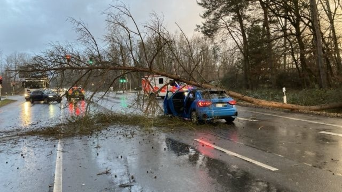 POL-OF: Umgefallene Bäume und Verkehrsschilder: Mehrere Sturm-Einsätze für Polizei / Schreckmoment für Autofahrerin bei Dietzenbach - Foto: presseportal.de
