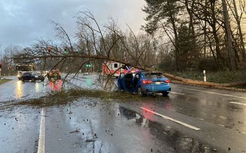 POL-OF: Umgefallene BĂ€ume und Verkehrsschilder: Mehrere Sturm-EinsĂ€tze fĂŒr Polizei / Schreckmoment fĂŒr Autofahrerin bei Dietzenbach - Foto: presseportal.de POL-OF: Umgefallene BĂ€ume und Verkehrsschilder: Mehrere Sturm-EinsĂ€tze fĂŒr Polizei / Schreckmoment fĂŒr Autofahrerin bei Dietzenbach - Foto: presseportal.de
