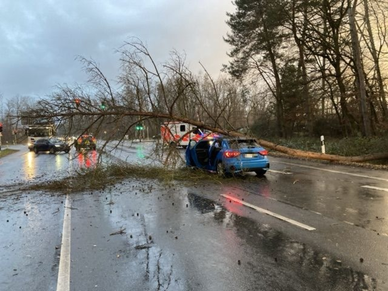 POL-OF: Umgefallene Bäume und Verkehrsschilder: Mehrere Sturm-Einsätze für Polizei / Schreckmoment für Autofahrerin bei Dietzenbach - Foto: presseportal.de