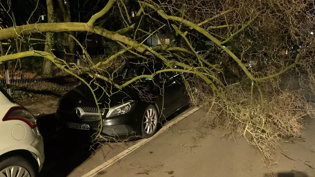 FW-DO: Sturmtief sorgt für zahlreiche Feuerwehreinsätze in Dortmund - Bild: presseportal.de