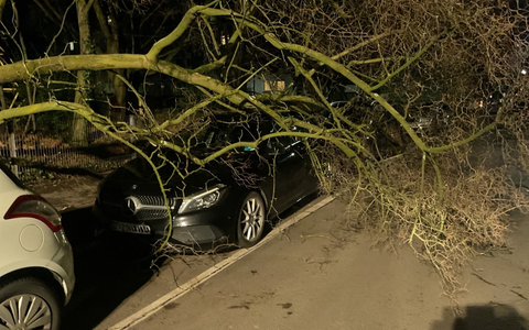FW-DO: Sturmtief sorgt für zahlreiche Feuerwehreinsätze in Dortmund - Foto: presseportal.de