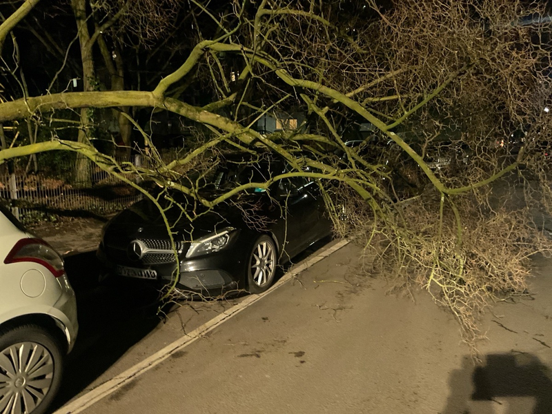 FW-DO: Sturmtief sorgt für zahlreiche Feuerwehreinsätze in Dortmund - Foto: presseportal.de