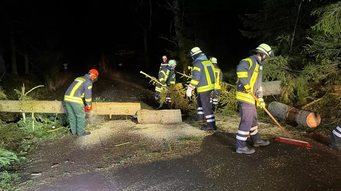 FW Lüchow-Dannenberg: +++stürmische Nacht in Lüchow-Dannenberg +++ Feuerwehren rücken zu insgesamt sieben Einsätzen aus +++ Schwerpunkt in der Samtgemeinde Elbtalaue +++ - Bild: presseportal.de