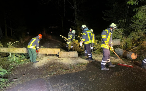 FW Lüchow-Dannenberg: +++stürmische Nacht in Lüchow-Dannenberg +++ Feuerwehren rücken zu insgesamt sieben Einsätzen aus +++ Schwerpunkt in der Samtgemeinde Elbtalaue +++ - Foto: presseportal.de