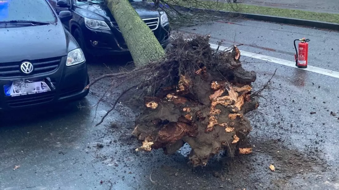 POL-AC: Dutzende Sturmeinsätze in der StädteRegion Aachen - Bild: presseportal.de