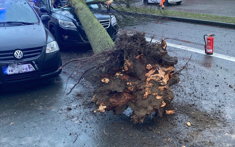 POL-AC: Dutzende Sturmeinsätze in der StädteRegion Aachen - Foto: presseportal.de