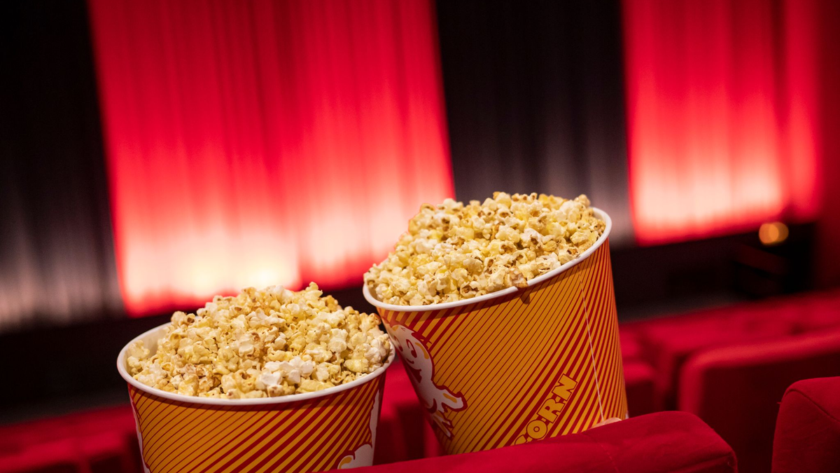 Laut Branchenzahlen zog es 2024 weniger Menschen in die Kinos als noch 2023. (Symbolbild) - Foto: Fabian Sommer/dpa