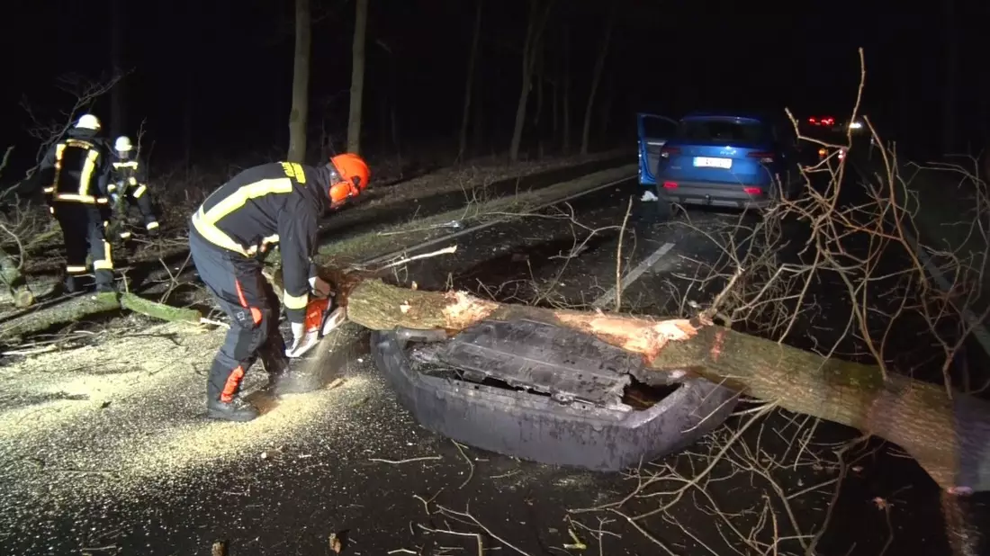 Im Landkreis Emsland fuhr eine Autofahrerin mit ihrem Wagen gegen einen Baum. Sie wurde leicht verletzt. - Bild: -/Nord-West-Media TV/dpa