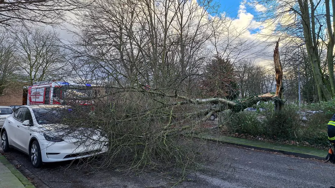 FW-NE: Sturmtief sorgt für zahlreiche Einsätze: 26 Sturmschäden beseitigt - Bild: presseportal.de