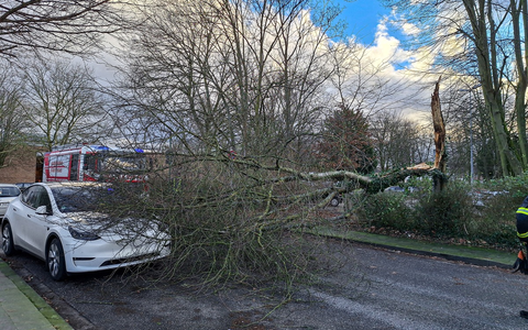FW-NE: Sturmtief sorgt für zahlreiche Einsätze: 26 Sturmschäden beseitigt - Foto: presseportal.de