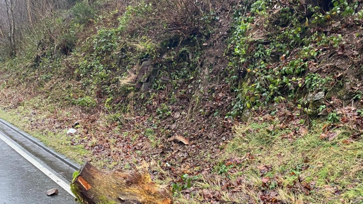 FW-PL: Einsatzbilanz Sturmtief Bernd - Foto: presseportal.de