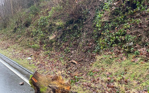 FW-PL: Einsatzbilanz Sturmtief Bernd - Foto: presseportal.de