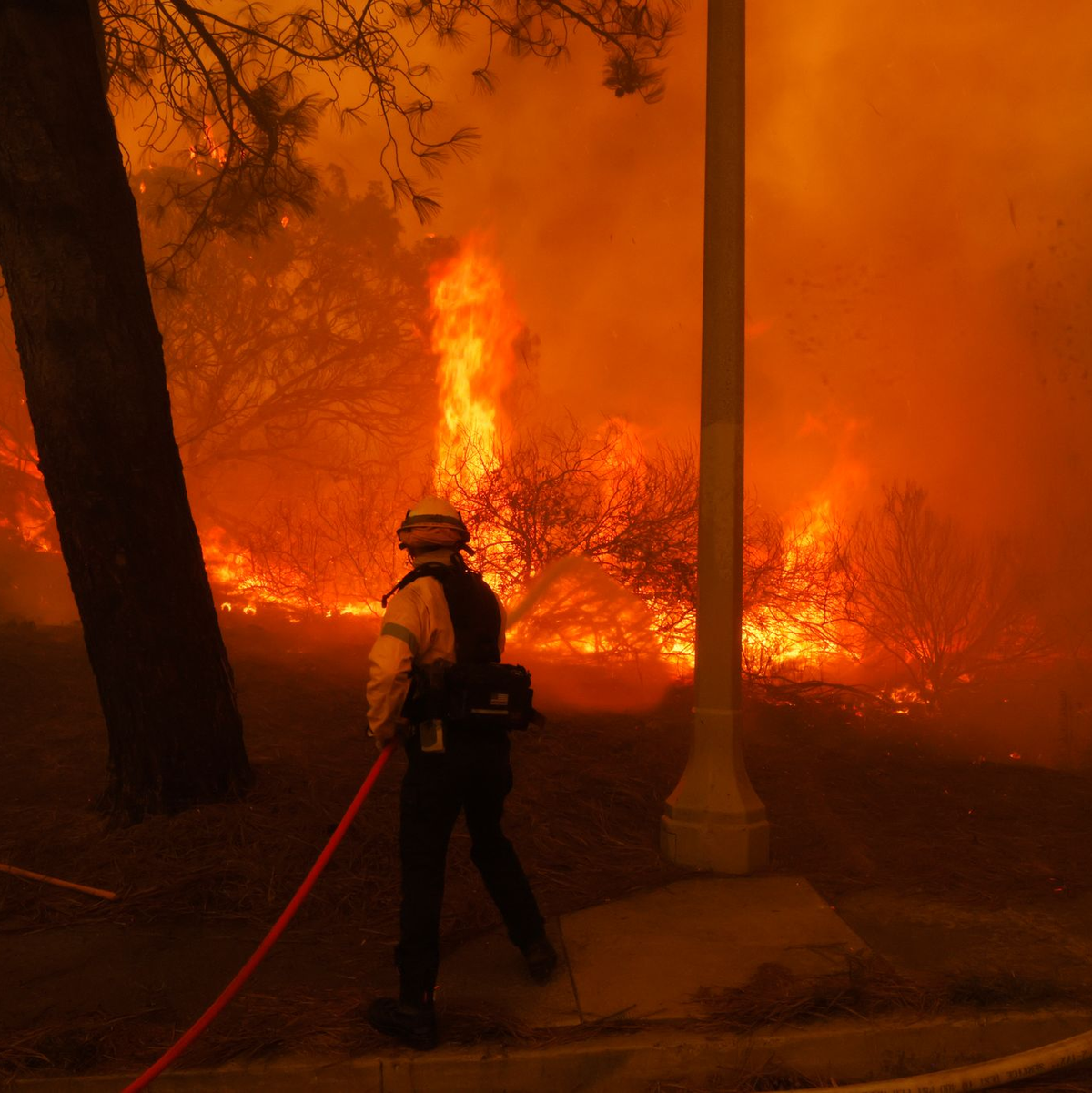Feuerwehrleute bekämpfen das Palisades-Feuer in Los Angeles. - Foto: Etienne Laurent/FR172066 AP/AP/dpa