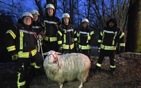 FW-EN: Schaf steckt in Tümpel fest - Tierrettung in Breckerfeld - Foto: presseportal.de