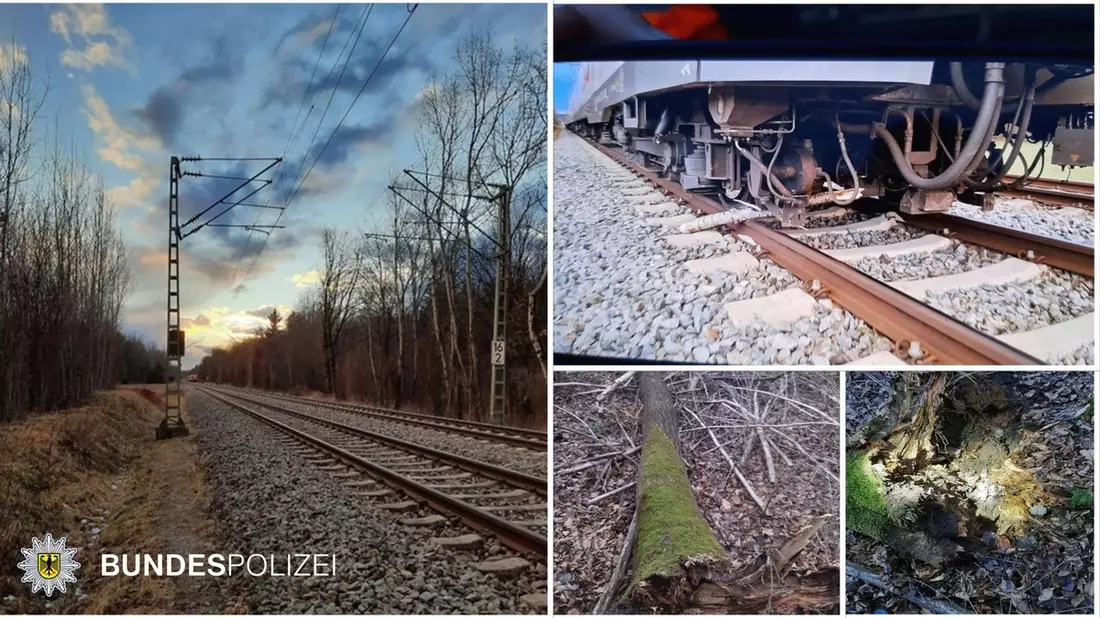 Bundespolizeidirektion München: Bahnbetriebsunfall / S-Bahn kollidierte mit Baum - keine Verletzten - Bild: presseportal.de