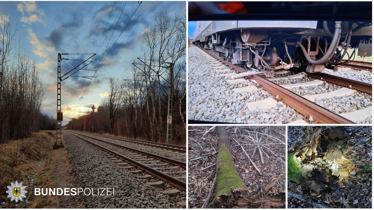 Bundespolizeidirektion München: Bahnbetriebsunfall / S-Bahn kollidierte mit Baum - keine Verletzten - Foto: presseportal.de