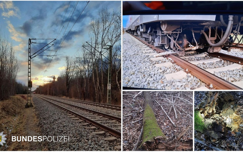Bundespolizeidirektion München: Bahnbetriebsunfall / S-Bahn kollidierte mit Baum - keine Verletzten - Foto: presseportal.de