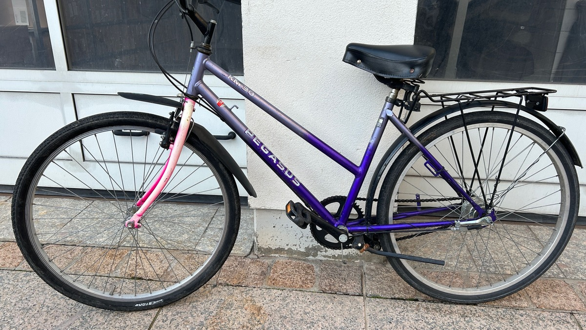 POL-PDLU: Speyer - Sichergestelltes Fahrrad - Eigentümer gesucht - Foto: presseportal.de