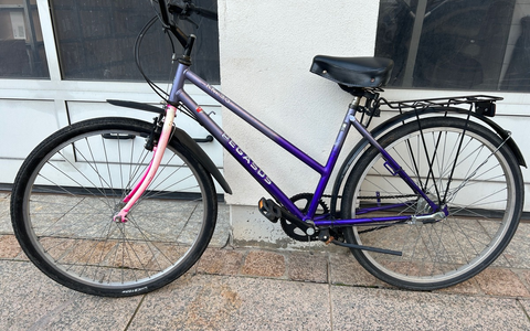 POL-PDLU: Speyer - Sichergestelltes Fahrrad - Eigentümer gesucht - Foto: presseportal.de