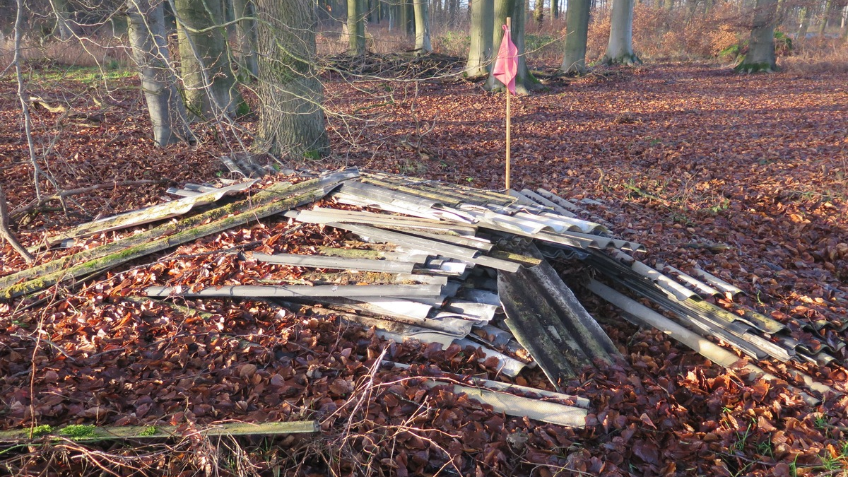 POL-DEL: Landkreis Oldenburg: Illegale Entsorgung von Asbestplatten in einem Harpstedter Waldstück - Foto: presseportal.de