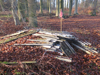 POL-DEL: Landkreis Oldenburg: Illegale Entsorgung von Asbestplatten in einem Harpstedter Waldstück - Foto: presseportal.de