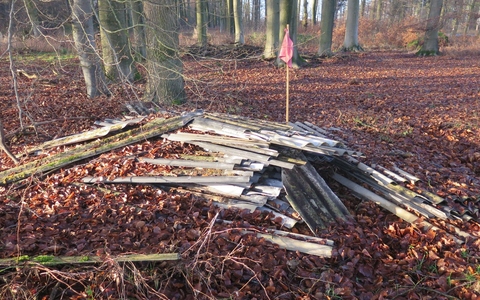 POL-DEL: Landkreis Oldenburg: Illegale Entsorgung von Asbestplatten in einem Harpstedter Waldstück - Foto: presseportal.de