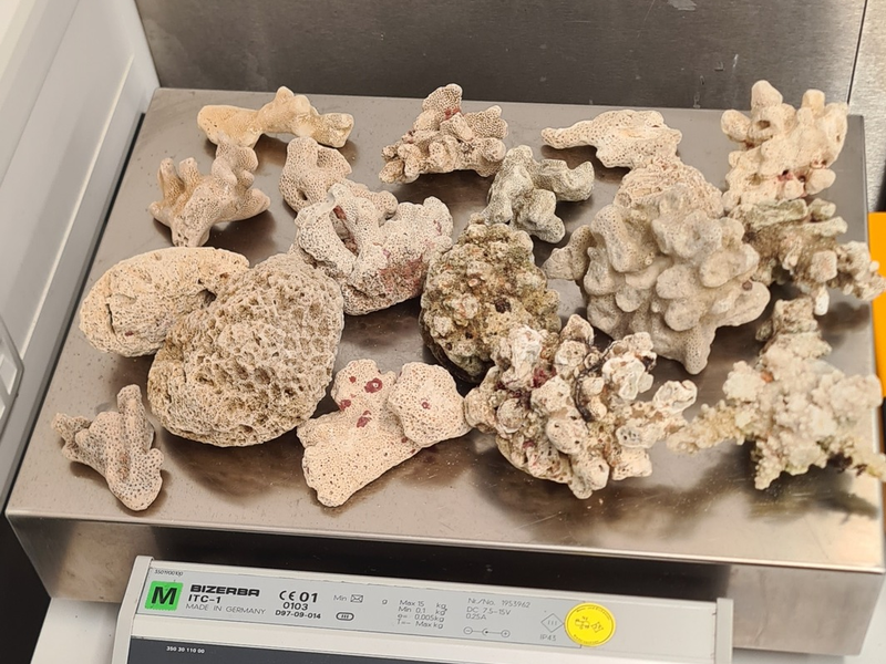 HZA-H: Zoll Hannover verhindert Goldschmuggel und sichert Artenschutz - Foto: presseportal.de