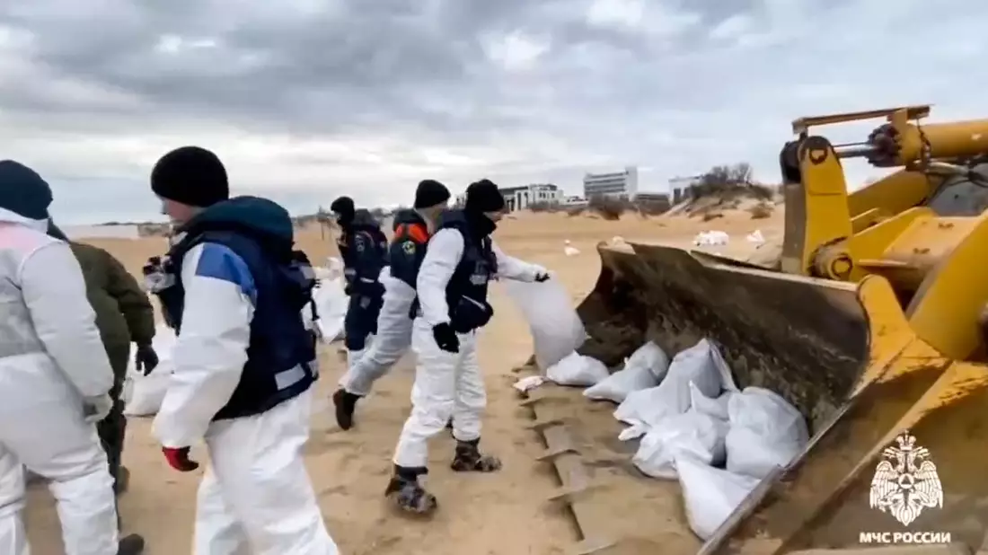 Immer noch sind Tausende Freiwillige mit der Reinigung von Stränden beschäftigt, weil fortdauernd neues Schweröl in Russland an die Küsten gespült wird. (Archvibild) - Bild: Uncredited/Russian Emergency Ministry Press/AP/dpa