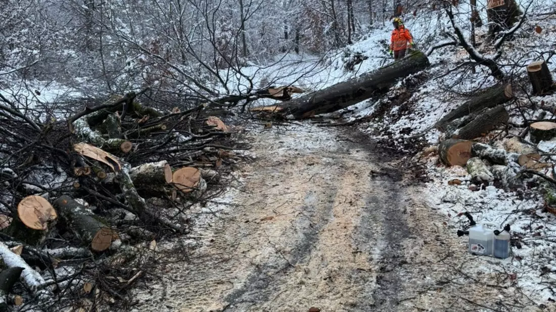 FW-EN: Schneefall sorgt für eine Vielzahl von Einsätzen bei der Hattinger Feuerwehr - Bild: presseportal.de