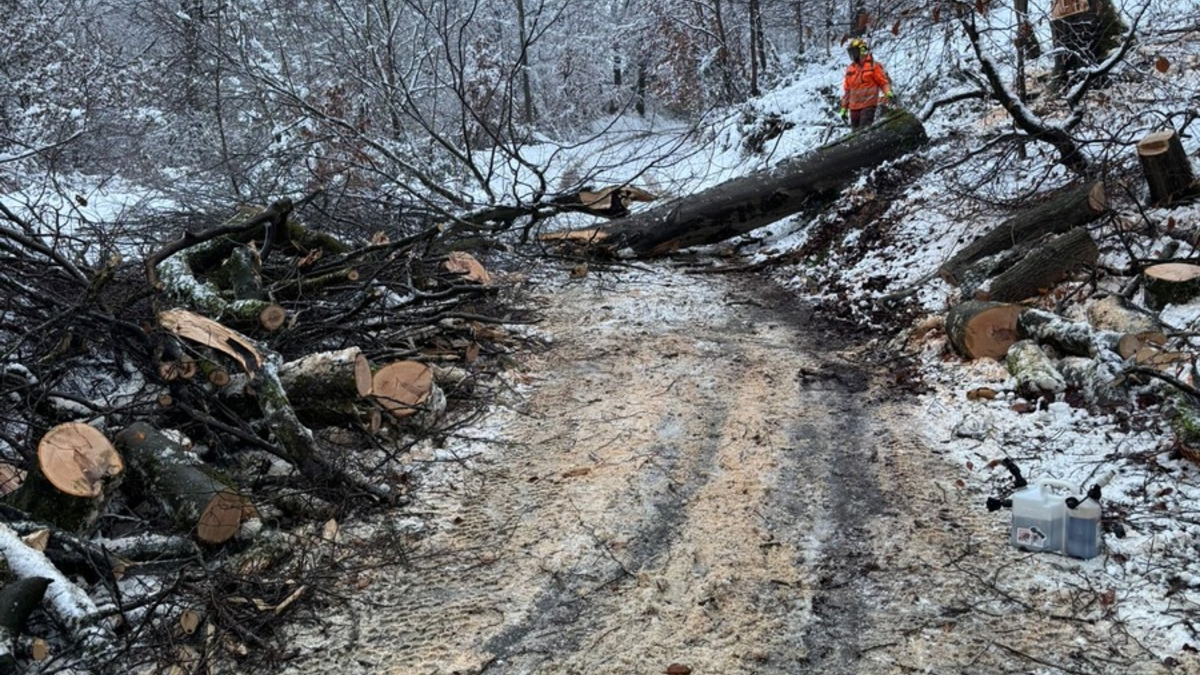 FW-EN: Schneefall sorgt für eine Vielzahl von Einsätzen bei der Hattinger Feuerwehr - Foto: presseportal.de