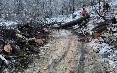 FW-EN: Schneefall sorgt für eine Vielzahl von Einsätzen bei der Hattinger Feuerwehr - Foto: presseportal.de