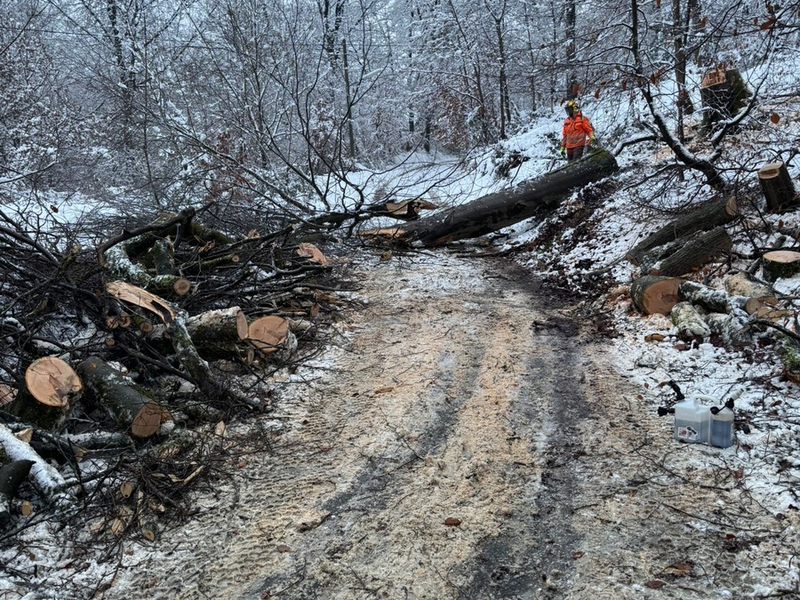 FW-EN: Schneefall sorgt für eine Vielzahl von Einsätzen bei der Hattinger Feuerwehr - Foto: presseportal.de