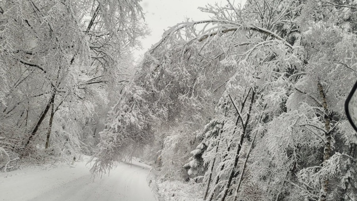 FW Düren: Feuerwehr der Stadt Düren im Dauereinsatz: Schneefall sorgt für rund 10 witterungsbedingte Einsätze - Foto: presseportal.de