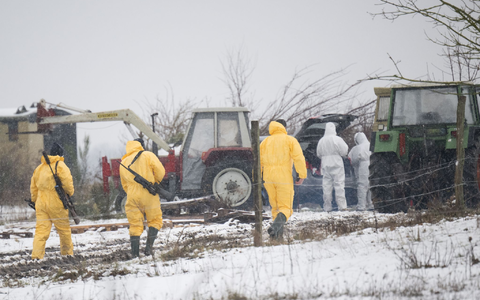 Der Ausbruch der Maul- und Klauenseuche im brandenburgischen Kreis Märkisch-Oderland hat auch Folgen für andere Tierhalter. - Foto: Sebastian Christoph Gollnow/dpa Der Ausbruch der Maul- und Klauenseuche im brandenburgischen Kreis Märkisch-Oderland hat auch Folgen für andere Tierhalter. - Foto: Sebastian Christoph Gollnow/dpa