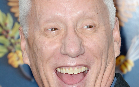 Filmstar James Woods macht auch als Klimaleugner von sich reden. (Archivbild) - Foto: picture alliance / Justin Lane/EPA/dpa