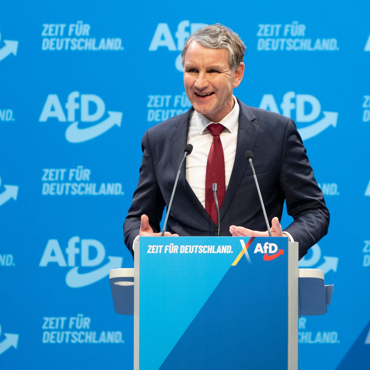 AfD-Rechtsaußen Björn Höcke spricht zu mehreren Änderungsanträgen am Wahlprogramm.  - Foto: Sebastian Kahnert/dpa