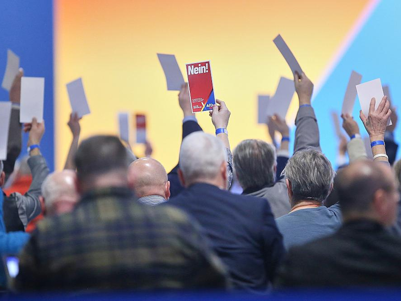 Abstimmung auf AfD-Parteitag am 12.01.2025 - Foto: über dts Nachrichtenagentur
