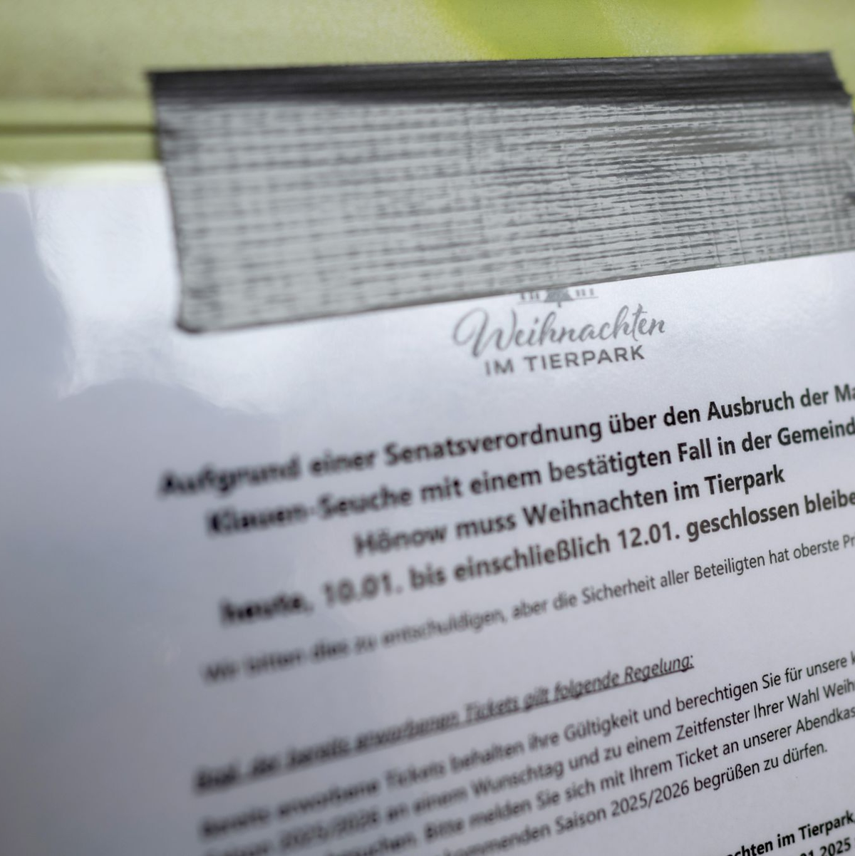 Vorsorglich bleiben der Tierpark und der Zoo in Berlin wegen des Ausbruchs der Maul- und Klauenseuche im benachbarten Brandenburg geschlossen. - Foto: Sebastian Gollnow/dpa