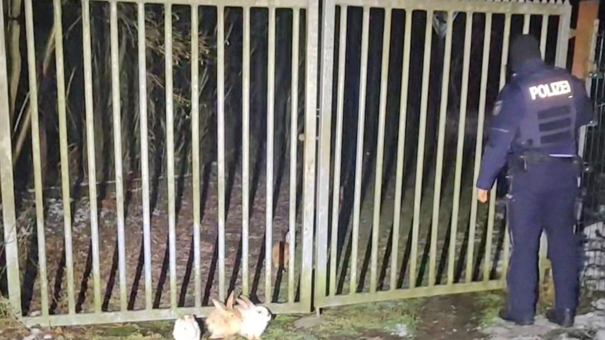 POL-MK: Polizeibeamte retten neun Kaninchen - Foto: presseportal.de