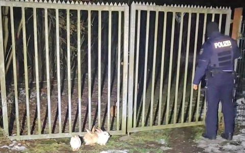 POL-MK: Polizeibeamte retten neun Kaninchen - Foto: presseportal.de