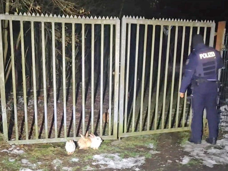 POL-MK: Polizeibeamte retten neun Kaninchen - Foto: presseportal.de