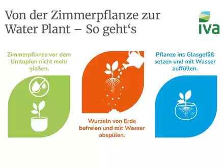 Grüne Highlights: Tipps für Water Plants - Foto: presseportal.de