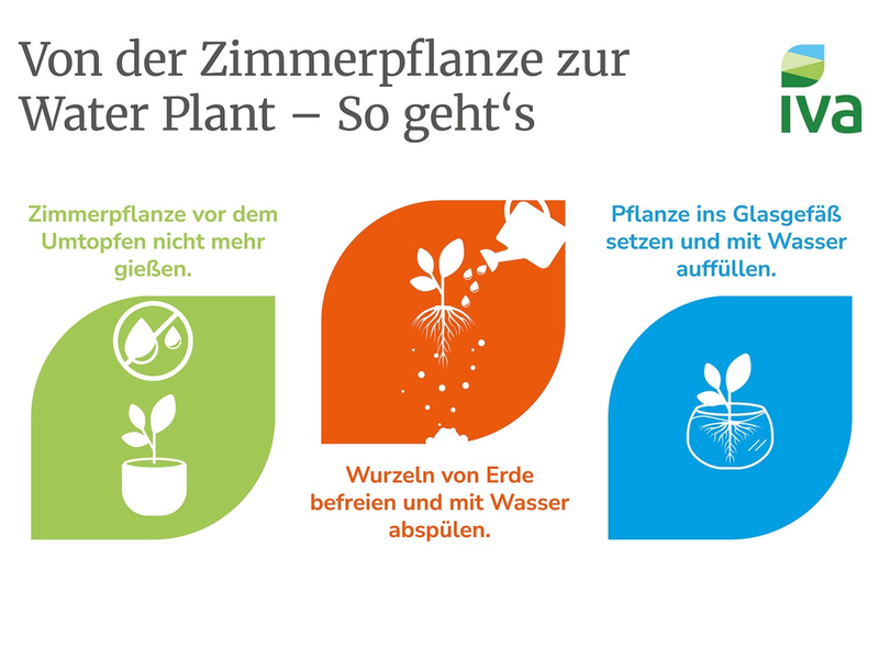 Grüne Highlights: Tipps für Water Plants - Foto: presseportal.de