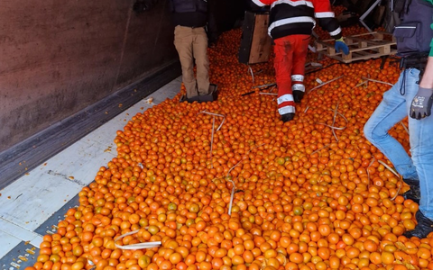 LKA-HE: Marihuana und Mandarinen geladen - Zoll und Polizei stellen 51 Kilogramm Drogen in verunglĂŒcktem Lkw sicher - Foto: presseportal.de LKA-HE: Marihuana und Mandarinen geladen - Zoll und Polizei stellen 51 Kilogramm Drogen in verunglĂŒcktem Lkw sicher - Foto: presseportal.de