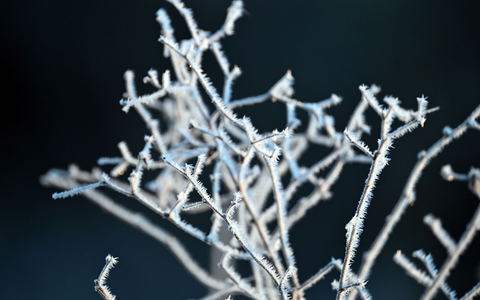 Minusgrade sind auch in der kommenden Nacht vielerorts zu erwarten. - Foto: Federico Gambarini/dpa