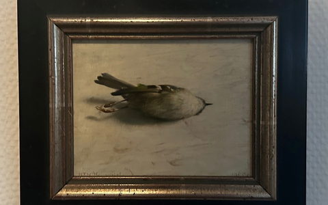 POL-LER: Pressemitteilung zum Diebstahl eines Gemäldes aus der Kunstausstellung im Schloss Evenburg - Foto: presseportal.de