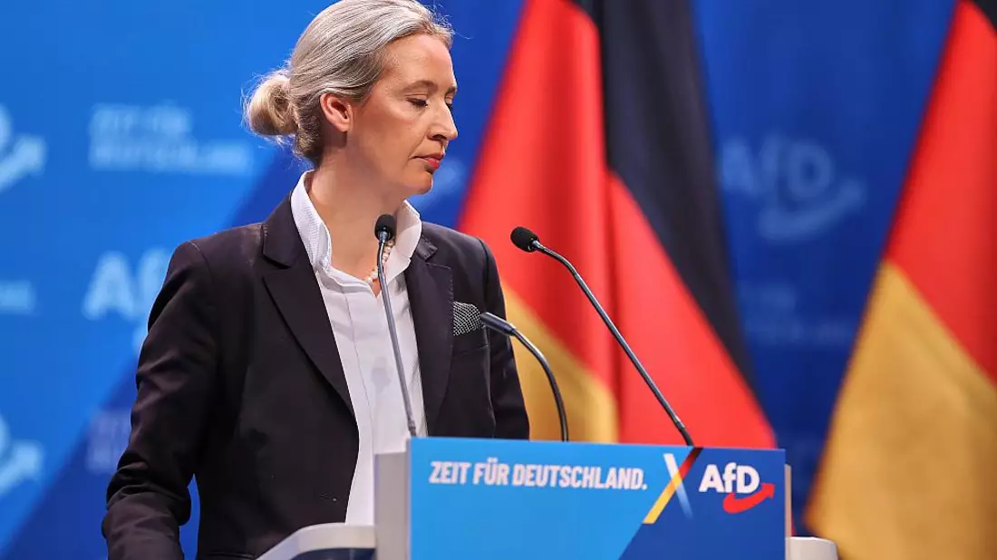 Alice Weidel am 11.01.2025 - Bild: über dts Nachrichtenagentur