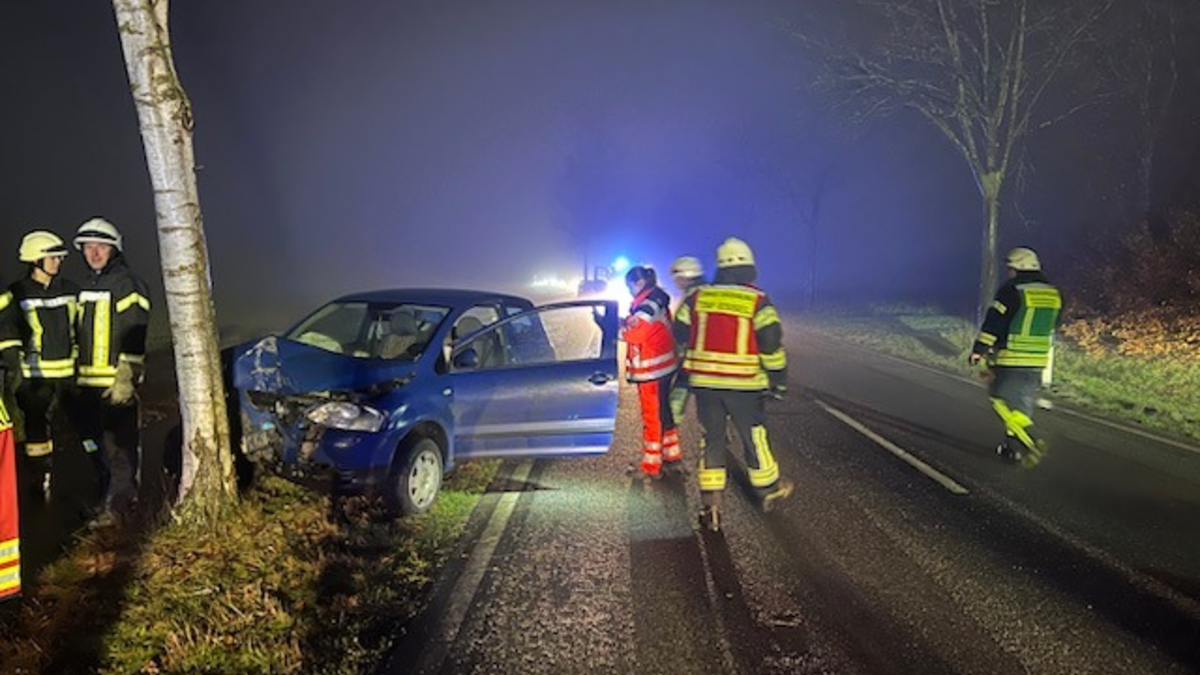 POL-STD: 28-jähriger Autofahrer prallt gegen Baum - durch Glück nur leicht verletzt, Kupferdiebe in Deinste - Foto: presseportal.de