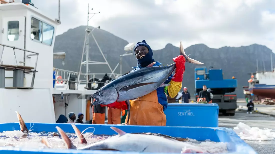 ALDI SÜD Gruppe integriert als erster Einzelhändler weltweit das neue MSC Fischereiverbesserungsprogramm in seine Einkaufsrichtlinie - Bild: presseportal.de